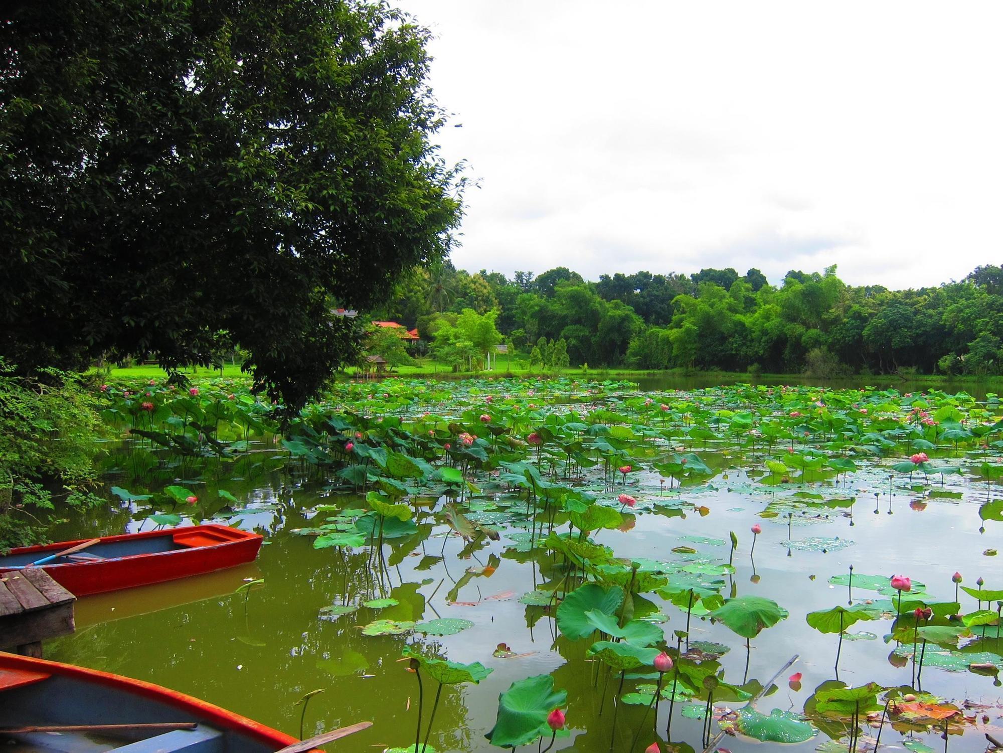 Mae Rim Lagoon Bed & Bakery Ngoại thất bức ảnh
